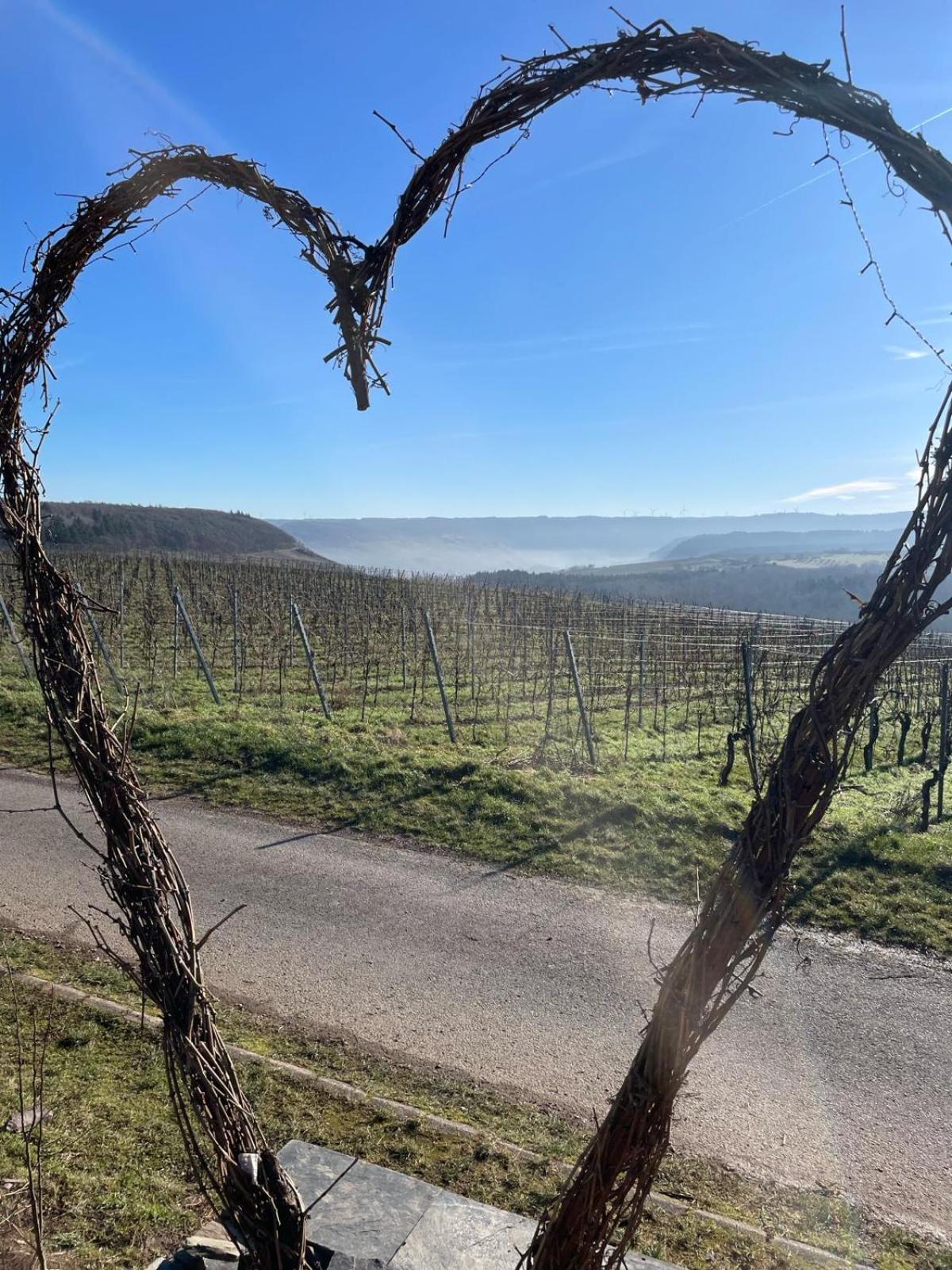 Neue Fewo Mit Schlossblick - Urlaub Im Wein- Und Ferienort Bekond Экстерьер фото